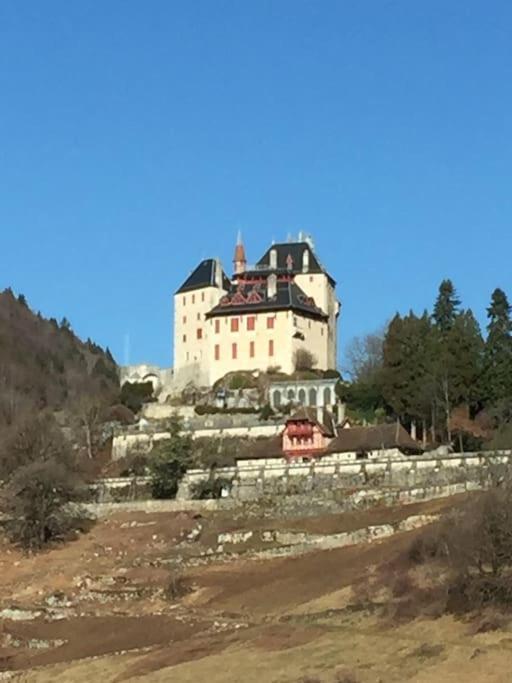 Maison De Vacances 220M2 Vue Lac Et Chateau Menthon-Saint-Bernard Εξωτερικό φωτογραφία